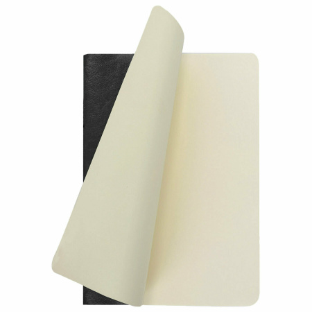 Тетради 60 л. в клетку обложка гладкий кожзам, НАБОР 2 шт., сшивка, B5 (179х250 мм), BRAUBERG VIVA, 403900 - Тетради более 60 листов