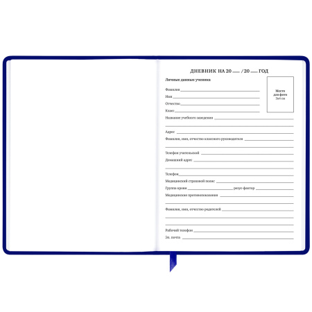 Дневник 1-11 класс 48 л., кожзам (твердая с поролоном), фольга, BRAUBERG HOLIDAY, "Good Idea", 106567 - Дневники универсальные