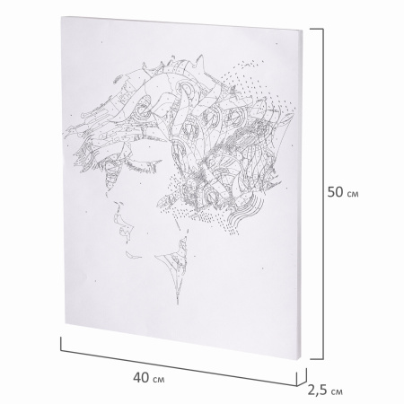 Картина по номерам 40х50 см, ОСТРОВ СОКРОВИЩ "Строгий профиль", на подрамнике, акрил, кисти, 663358 - Картины по номерам