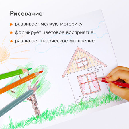 Карандаши цветные BRAUBERG PREMIUM, 36 цветов, трехгранные, грифель мягкий 3,3 мм, 181654 - Карандаши цветные