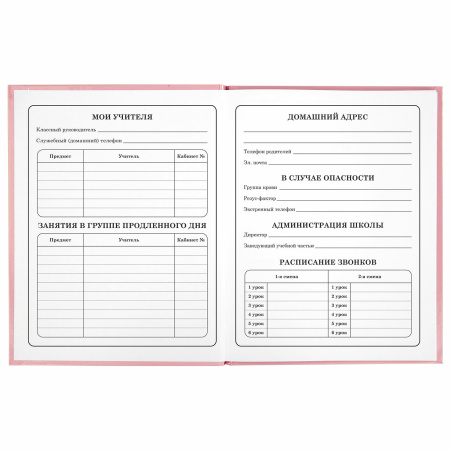 Дневник 1-4 класс 48 л., твердый, ЮНЛАНДИЯ, глянцевая ламинация, с подсказом, "Bunny", 106348 - Дневники для младших классов