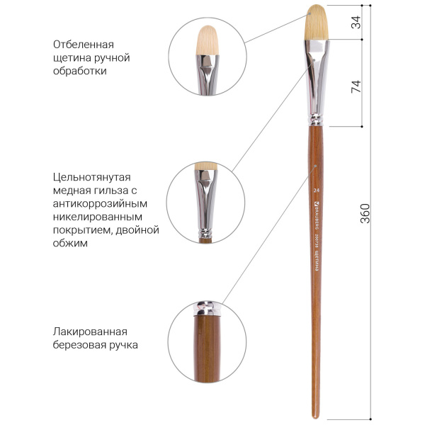 Кисть художественная профессиональная BRAUBERG ART CLASSIC, щетина, овальная, № 24, длинная ручка, 200738 - Кисти художественные из натурального волоса