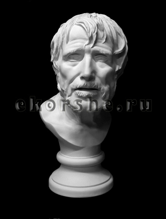 Бюст Сенеки 22,5*26*47 (10-156)