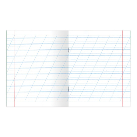 Тетрадь ВЕЛИКИЕ ИМЕНА. Лермонтов М.Ю., 12 л. косая линия С ДОП. ГОРИЗОНТАЛЬНОЙ, плотная бумага 80 г/м2, обложка офсет, BRAUBERG, 105713 - Тетради 12-24 листов