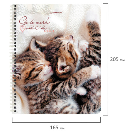 Тетрадь А5, 96 л., BRAUBERG, гребень, клетка, обложка картон, "Котики" (микс в спайке), 404425 - Тетради более 60 листов
