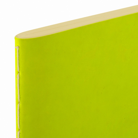 Тетрадь 48 л. в клетку обложка кожзам SoftTouch, сшивка, A5 (147х210мм), САЛАТОВЫЙ, BRAUBERG RAINBOW, 403878 - Тетради 40-48 листов