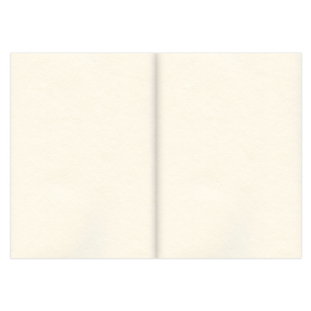 Скетчбук, слоновая кость 100 г/м2, 297х420 мм, 120 л., прошивка, BRAUBERG ART CLASSIC, 128959 - Альбомы, скетчбуки и бумага для графики и эскизов