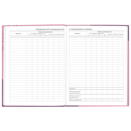 Дневник 5-11 класс 48 л., твердый, BRAUBERG, глянцевая ламинация, с подсказом, "Сладкая Жизнь", 106400 - Дневники для старших классов