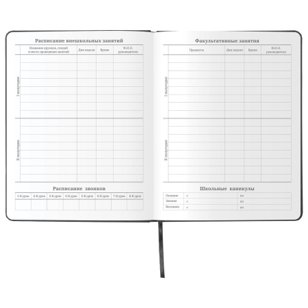 Дневник 1-11 класс 48л, кожзам (твердая), шелкография, BRAUBERG, "ЛЕВ ПОП-АРТ", 105991 - Дневники универсальные