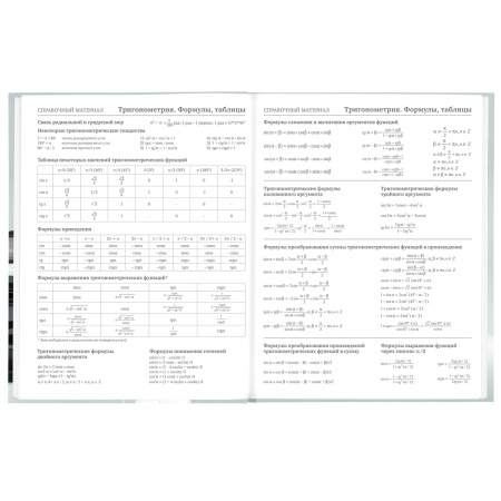 Дневник 5-11 класс 48 л., твердый, BRAUBERG, выборочный лак, с подсказом, "Super Car", 106634 - Дневники для старших классов