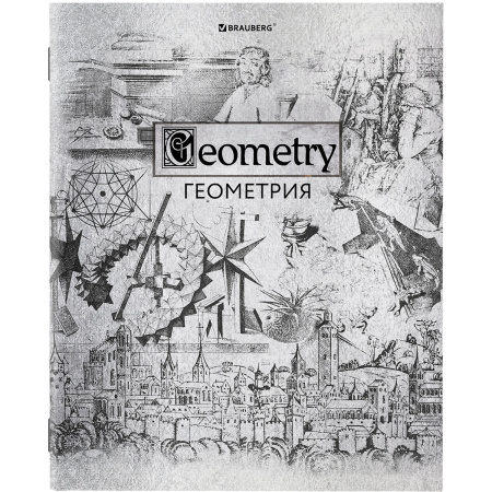 Тетради предметные, КОМПЛЕКТ 12 ПРЕДМЕТОВ, "SILVER", 48 листов, с серебряной обложкой, BRAUBERG, 404034 - Тетради предметные