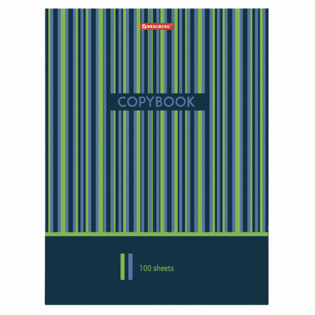 Тетрадь на кольцах БОЛЬШАЯ А4 (225х300 мм), 100 листов, твердый картон, клетка, BRAUBERG, Полосы, 403273 - Тетради на кольцах и сменные блоки к ним