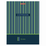 Тетрадь на кольцах БОЛЬШАЯ А4 (225х300 мм), 100 листов, твердый картон, клетка, BRAUBERG, Полосы, 403273 - Тетради на кольцах и сменные блоки к ним