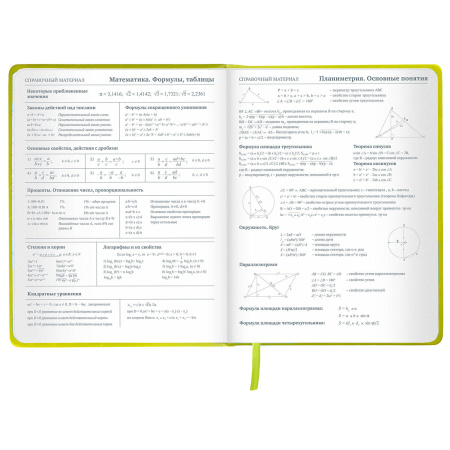 Дневник 1-11 класс 48 л., кожзам (твердая с поролоном), тиснение аппликация, BRAUBERG, "Super Avo", 106205 - Дневники универсальные