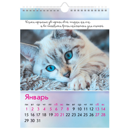 Календарь на гребне с ригелем на 2024 г., 22х30 см, МИНИ, "Пушистые истории", HATBER, 12Кнп4гр_29907 - Календари настенные