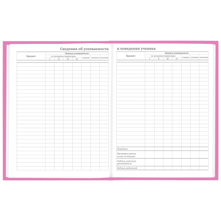 Дневник 1-11 класс 48 л., твердый, BRAUBERG, глянцевая ламинация, с подсказом, "Ice cream party", 106602 - Дневники для младших классов