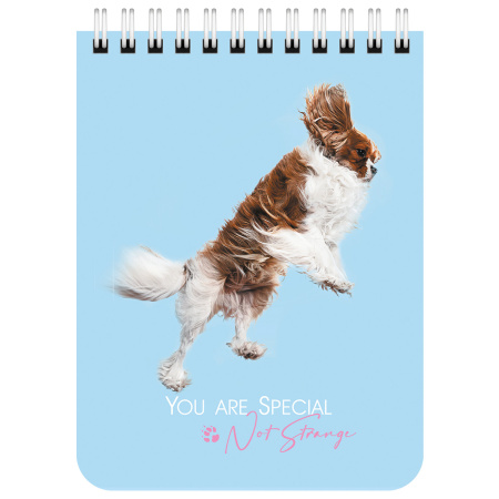 Блокнот МАЛЫЙ ФОРМАТ А6 108х145 мм, 40 л., гребень, картон, клетка, BRAUBERG KIDS, "Собачки", 114394 - Блокноты