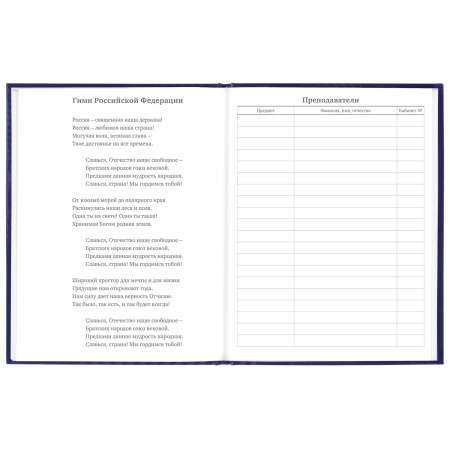 Дневник 5-11 класс 48 л., твердый, BRAUBERG, глянцевая ламинация, с подсказом, "Music", 106623 - Дневники для старших классов