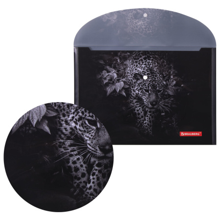 Папка-конверт с кнопкой BRAUBERG "LEOPARD", А4, 160 мкм, до 100 листов, цветная печать, 228039 - Папки-конверты с кнопкой