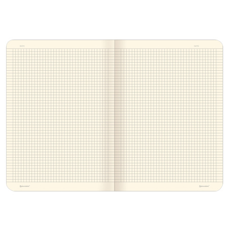 Тетрадь 60 л. в клетку обложка SoftTouch, бежевая бумага 70 г/м2, сшивка, В5 (179х250 мм), ТУМАН, BRAUBERG, 1403819 - Тетради более 60 листов