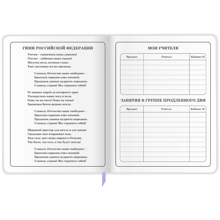 Дневник 1-4 класс 48 л., кожзам (гибкая), печать, фольга, ЮНЛАНДИЯ, "Ёжики", 106217 - Дневники для младших классов