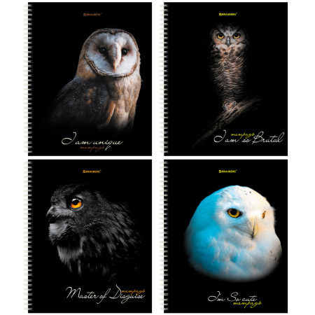 Тетрадь А5 96 л. BRAUBERG, гребень, клетка, твёрдая обложка, "Совы" (4 вида в спайке), 404443 - Тетради более 60 листов