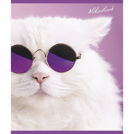 Тетрадь А5, 48 л., ПЗБМ, скоба, клетка, фольга, конгрев, TWIN лак, "КОТ БАЗИЛ" (5 видов), 029211 - Тетради 40-48 листов