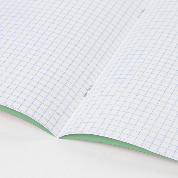 Тетрадь ВЕЛИКИЕ ИМЕНА. Ломоносов М.В., 12 л. клетка, плотная бумага 80 г/м2, обложка тонированный офсет, BRAUBERG, 1 шт, 105712 - Тетради 12-24 листов