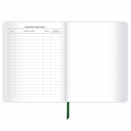 Дневник 1-11 класс 48 л., кожзам (гибкая), термотиснение, фольга, BRAUBERG, "Football", 106170 - Дневники универсальные