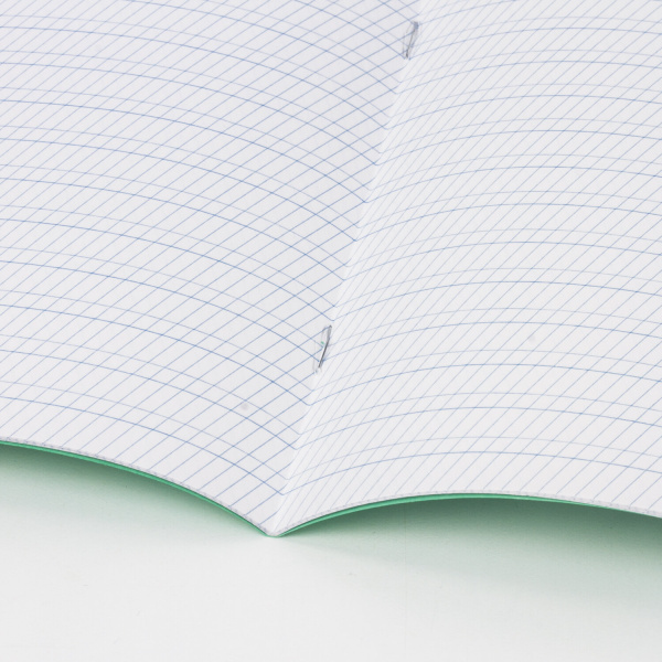 Тетрадь ВЕЛИКИЕ ИМЕНА. Толстой Л.Н., 12 л. частая косая линия, плотная бумага 80 г/м2, обложка тонированный офсет, BRAUBERG, 105719 - Тетради 12-24 листов