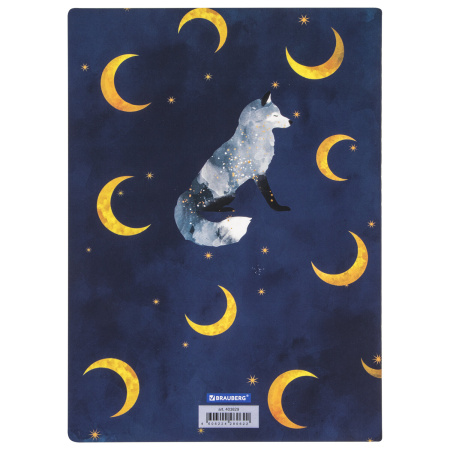 Тетради 60 л. в точку обложка SoftTouch, НАБОР 2 шт., бежевая бумага 70 г/м2, сшивка, B5 (179х250 мм), НОЧЬ, BRAUBERG, 403829 - Тетради более 60 листов