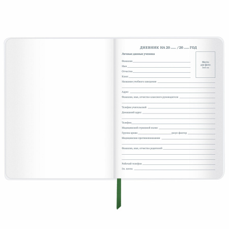 Дневник 1-11 класс 48 л., кожзам (гибкая), термотиснение, фольга, BRAUBERG, "Football", 106170 - Дневники универсальные