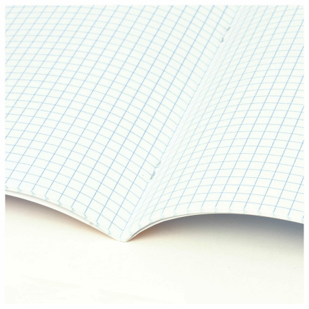 Тетрадь предметная "КЛАССИКА NATURE" 48 л., обложка картон, ИСТОРИЯ, клетка, BRAUBERG, 404587 - Тетради предметные