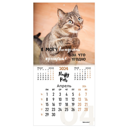 Календарь настенный перекидной на 2024 г., BRAUBERG, 12 листов, 29х29 см, "Кошечки", 115315 - Календари настенные