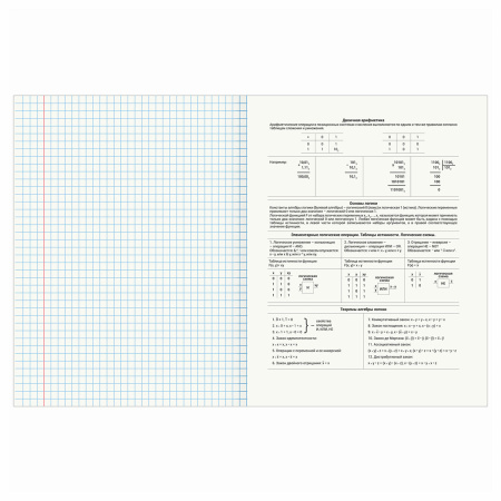 Тетрадь предметная "DELIGHT" 48 л., обложка картон, ИНФОРМАТИКА, клетка, BRAUBERG, 404574 - Тетради предметные