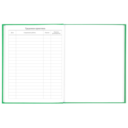 Дневник 5-11 класс 48 л., твердый, BRAUBERG, глянцевая ламинация, с подсказом, "Football", 106405 - Дневники для старших классов