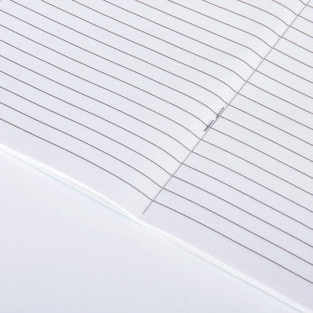 Дневник читательский А5, 40 л., скоба, обложка картон, ПИФАГОР, "Кот учёный", 113447 - Дневники универсальные