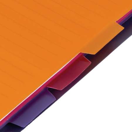 Тетрадь-блокнот 120 л., A5, 170x215 мм, BRAUBERG, линия, гребень, обложка пластиковая, 4 разделителя, "Rich", 401791 - Тетради-блокноты