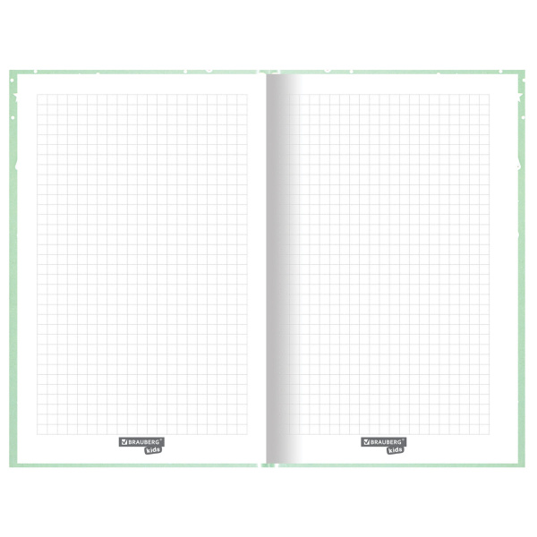 Блокнот А5 (134х206 мм), 80 л., твёрдый, клетка, BRAUBERG KIDS, "Пингвинчики", 114420 - Блокноты детские