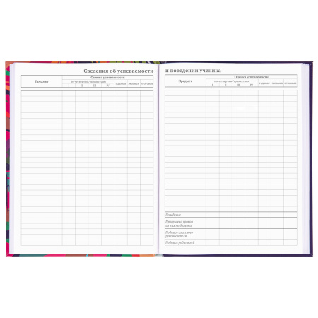 Дневник 5-11 класс 48 л., гибкая обложка, BRAUBERG, глянцевая ламинация, с подсказом, "Lion", 106386 - Дневники для старших классов