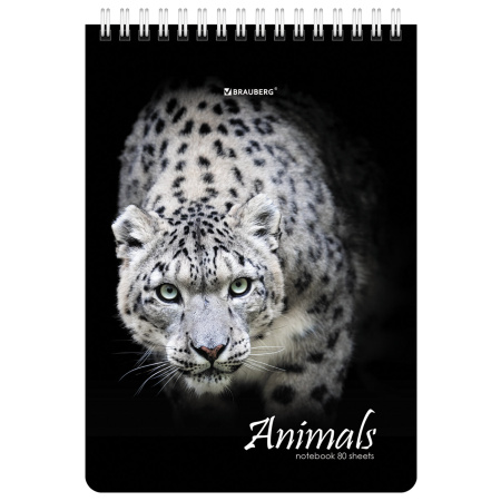 Блокнот А5 (146х206 мм), 80 л., гребень, картон, жесткая подложка, клетка, BRAUBERG, "Хищники", 114385 - Блокноты