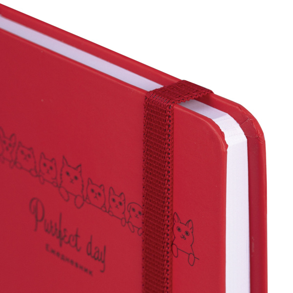 Ежедневник недатированный с резинкой, МАЛЫЙ ФОРМАТ А6 (109х148 мм), BRAUBERG, 128 л., "Котики", 114571 - Ежедневники с твердой обложкой