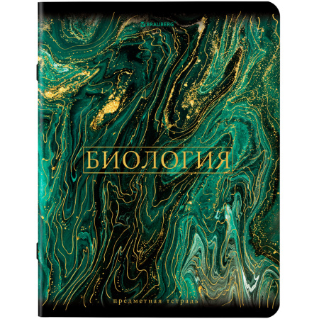Тетради предметные, КОМПЛЕКТ 12 ПРЕДМЕТОВ, "MARBLE", 48 л., SoftTouch, фольга, BRAUBERG, 404326 - Тетради предметные