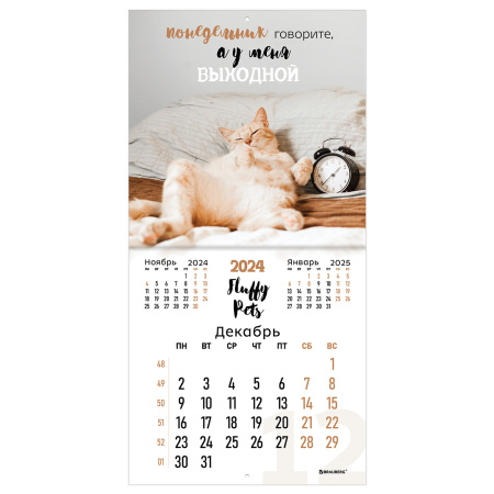 Календарь настенный перекидной на 2024 г., BRAUBERG, 12 листов, 29х29 см, "Кошечки", 115315 - Календари настенные