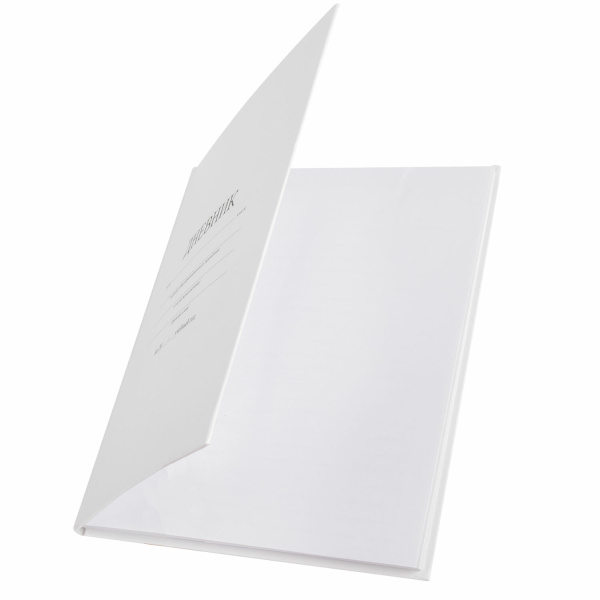 Дневник МП 1-11 класс 40 л., твердый, BRAUBERG, матовая ламинация, "Белый", 106641 - Дневники универсальные