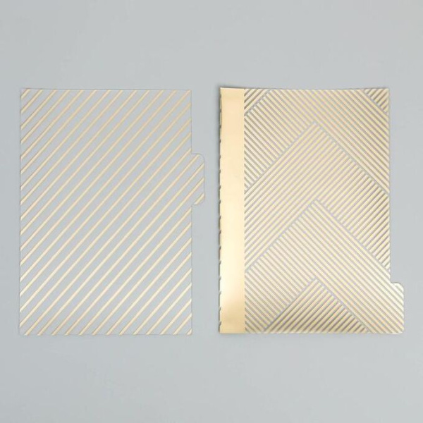 Набор ацетатных разделителей с фольгированием для планера «Крафт», 6 листов, размер 16*25 см - Разделители для планера