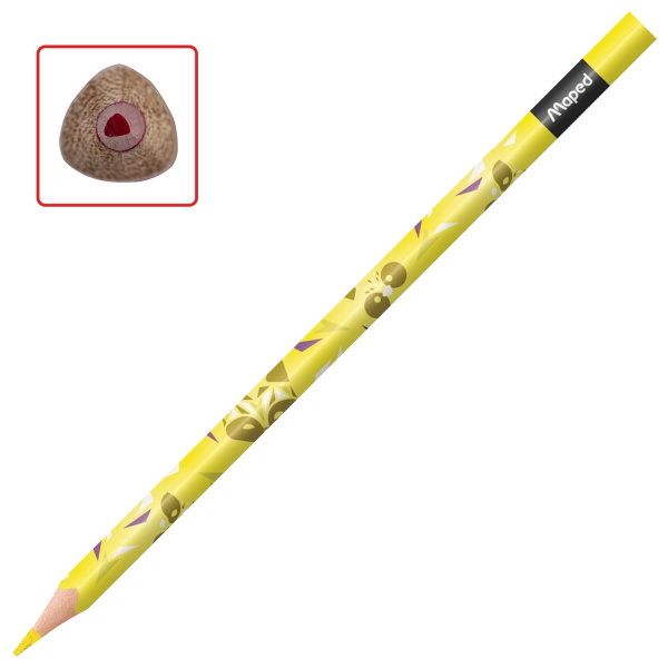 Карандаши цветные MAPED "Mini Cute", набор 12 цветов, пластиковый декорированный корпус, 862201 - Карандаши цветные