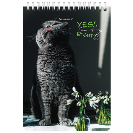 Блокнот А5 (146х206 мм), 80 л., гребень, картон, клетка, BRAUBERG, "Довольные коты", 114374 - Блокноты