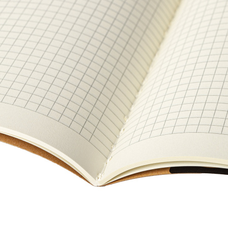 Тетрадь 40 л. в клетку обложка КРАФТ, бежевая бумага 70 г/м2, сшивка, А5 (147х210 мм), СКЕЙТЕР, BRAUBERG, 403757 - Тетради 40-48 листов