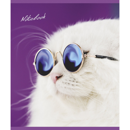 Тетрадь А5, 48 л., ПЗБМ, скоба, клетка, фольга, конгрев, TWIN лак, "КОТ БАЗИЛ" (5 видов), 029211 - Тетради 40-48 листов